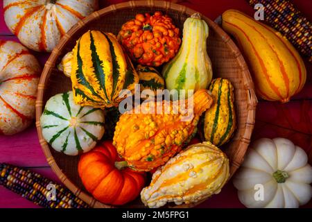 Basket Full Of Gourds Stock Photo