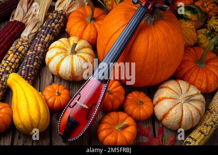 Pocket Violiv Among Autumn Harvest Stock Photo