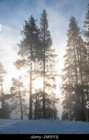 Donner State Park, is an excellent place to visit near Truckee, CA, to learn about the history of the area. Stock Photo