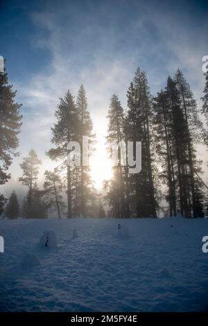 Donner State Park, is an excellent place to visit near Truckee, CA, to learn about the history of the area. Stock Photo