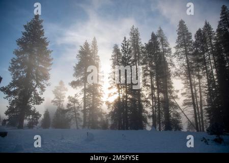 Donner State Park, is an excellent place to visit near Truckee, CA, to learn about the history of the area. Stock Photo