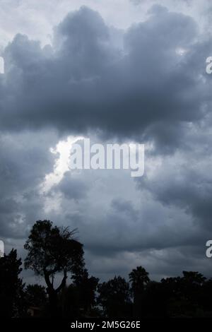 Storm clouds above dark silhouetted trees Stock Photo - Alamy