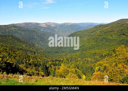 Wälder, Berge, Vogesen, Herbstfarben, Le Breitfirst, Route des Crêtes ...