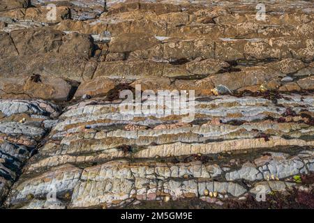 Close up view of Flysch geological coastline, rocks of Flysch formations in Zumaya in the Basque Country, Spain Stock Photo
