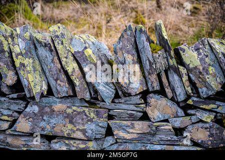 Detail of a dry stone wall with beautiful lichens Stock Photo