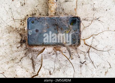 Old electrical box on the wall of an abandoned building Stock Photo