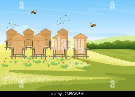 Beekeeping apiary on flower meadow field village landscape, honey production vector illustration. Cartoon bees insects flying over wooden beehives, pr Stock Vector