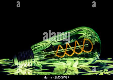 Colourful patterns reflect within a clear glass, oval shaped lightbulb and photographed against a black background Stock Photo
