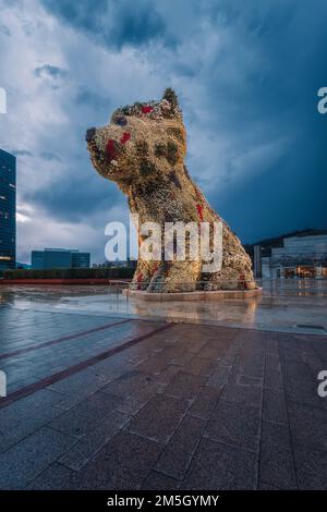 Puppy sculpture before Guggenheim Museum at night, Bilbao, Basque Country, Spain Stock Photo