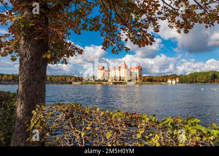View Of Moritzburg Castle In Saxony. Stock Photo