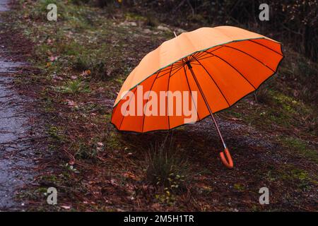 Open orange umbrella on a grassy pine needle verge Stock Photo