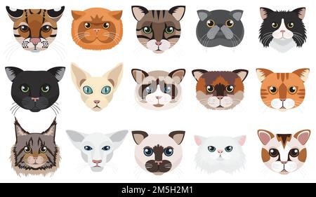Cats heads faces emoticons vector illustration set Stock Vector