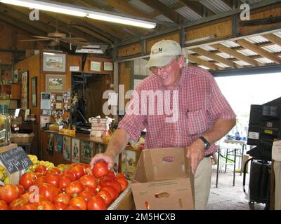 Edisto Island National Scenic Byway - King's Farm Market. A man smiles as he picks out fresh tomatoes from the King's Market. Location: South Carolina (32.581° N 80.334° W) Stock Photo