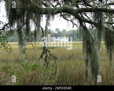 Edisto Island National Scenic Byway - Marsh View to Botany Bay and Allen AME Church. Miles of pristine spartina marshes greet visitors of the Edisto Island Scenic Byway/SC 174. Moss-covered trees create a mysterious effect on the landscape. Location: South Carolina (32.552° N 80.280° W) Stock Photo