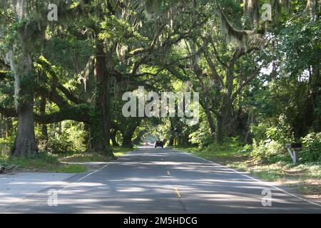 Edisto Island National Scenic Byway - The Live Oak Canopy on Edisto Island. A moss-draped canopy of oak trees covers a road, leaving exotic patterns. Location: Edisto Island, South Carolina (32.512° N 80.300° W) Stock Photo