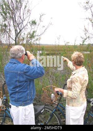 Edisto Island National Scenic Byway - View of Jeremy Cay from the Bike Path. A couple explores some of the many bike trails in the area, catching a glimpse of the wading birds that frequent these marshes. Location: South Carolina (32.551° N 80.280° W) Stock Photo