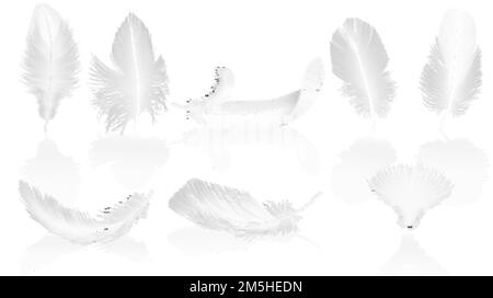 Realistic soft white feathers on glossy background. White bird falling feather set vector illustration Stock Vector