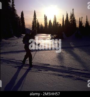White Pass Scenic Byway - Cross country Skiing near White Pass. A cross-country skier glides through the alpenglow near White Pass, the setting sun reflecting in the glimmering snow. Location: Washington (46.638° N 121.389° W) Stock Photo