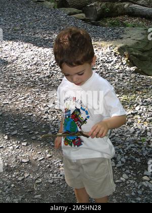 Journey Through Hallowed Ground Byway - Interacting With Nature. A small boy is fascinated by creepy crawlies at Cunningham Falls State Park. Cunningham Falls State Park, Maryland Stock Photo