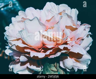 Beautiful artifical carnations, at the graveyard. Stock Photo