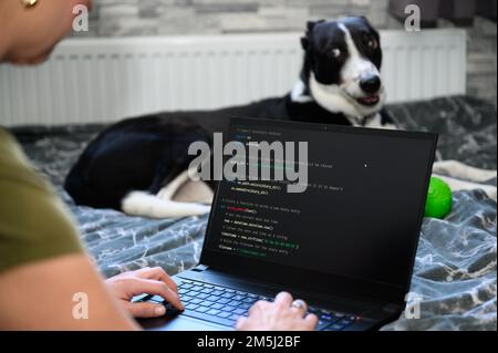 Coding in the house, a woman writing code on a laptop for an app or website while working from home Stock Photo