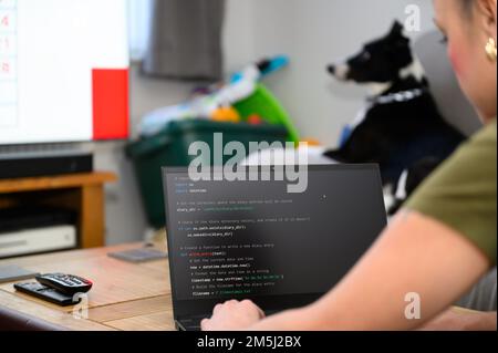 Coding in the house, a woman writing code on a laptop for an app or website while working from home Stock Photo