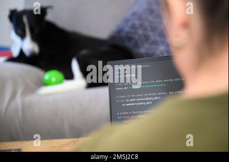 Coding in the house, a woman writing code on a laptop for an app or website while working from home Stock Photo