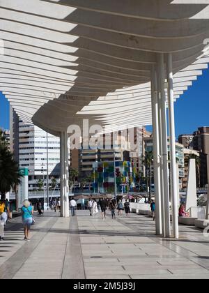 Pergolas de Victoria,Paseo de los Curas, give shade to people on the quayside at the port, Malaga,Spain,Europe Stock Photo