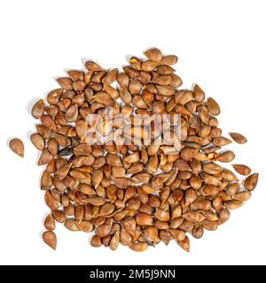 Apple cores against white background Stock Photo
