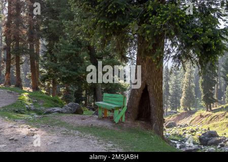 Kashmir landscape. Bench on the mountain jungle route Stock Photo