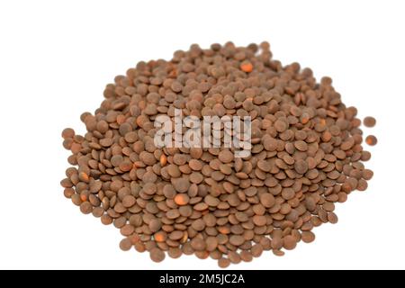 Pile of brown lentils (Lens culinaris or Lens esculenta), an edible legume. It is an annual plant known for its lens-shaped seeds, As a food crop, the Stock Photo