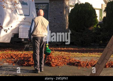 Male using a leaf blower on residential property - facing away from camera. Lower Mainland, British Columbia, Canada. Stock Photo