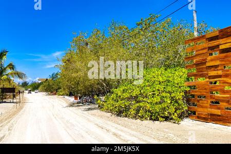 Sandy muddy road walking path and landscape view with tropical nature on beautiful Holbox island in Quintana Roo Mexico. Stock Photo