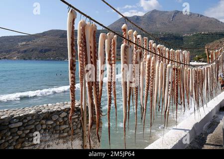 Octopus hanging to dry out in the sun, sea food, greece Stock Photo