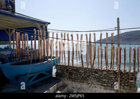 Octopus hanging to dry out in the sun, sea food, greece Stock Photo