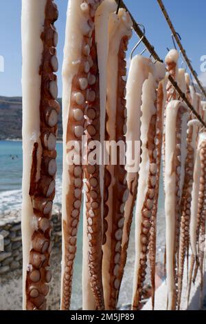 Octopus hanging to dry out in the sun, sea food, greece Stock Photo