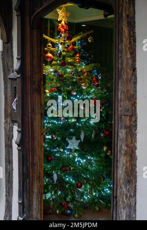 Illuminated Christmas tree framed by an old wooden doorway in Saffron Walden, Essex, UK Stock Photo