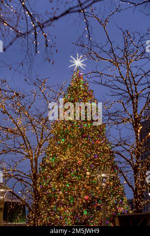 Detroit, Michigan - A Christmas tree in Campus Martius park in downtown Detroit. The tree is decorated with 20,000 LED lights. Stock Photo