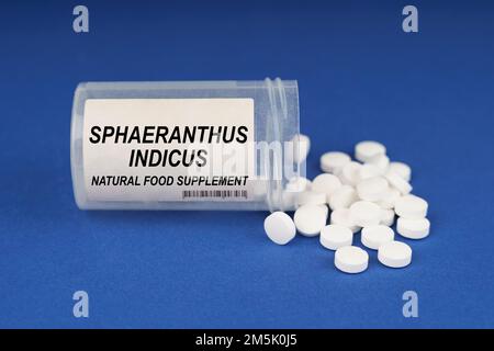 The concept of pharmacology and health. On a blue surface are pills and a dusty jar with the inscription - Sphaeranthus Indicus Stock Photo
