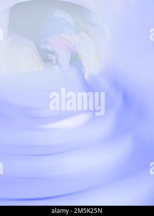 Blurred crowds diverse ethnic backgrounds ages and genders on a neutral universal background. Stock Photo