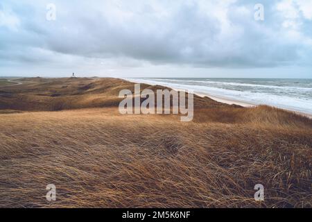 Endless Dune Landscape in western Denmark. High quality photo Stock Photo