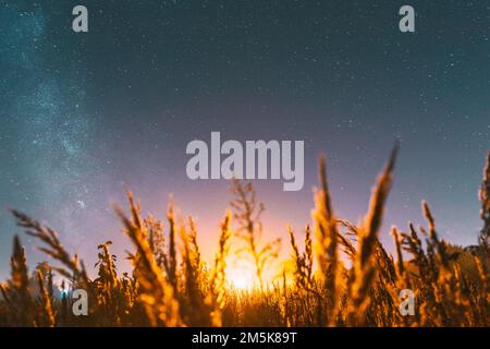 Bottom view of beautiful night starry sky from grass in summer. Night stars above meadow in august month. Illumination lights of town on horizon Stock Photo