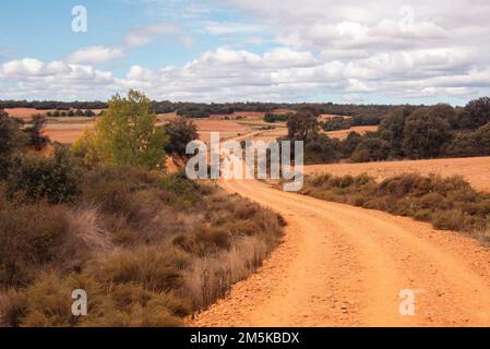 On a long and winding road: pilgrims in the distance walking the Saint James Way near Astorga Stock Photo