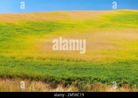 Beautiful colorful farm fields; Palouse region; Washington state; USA Stock Photo