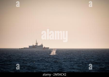 Whale spout at sea with US Coast Guard Cutter BEAR in the background off the coast of Labrador, Canada. Stock Photo