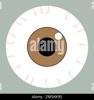 A human eyeball with a colored iris, eyeball illustration, eye, brown and black and white colors Stock Photo