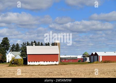 South Elgin, Illinois, USA. A modern bright red barn beyond a field of harvested crops on an autumn day. Stock Photo