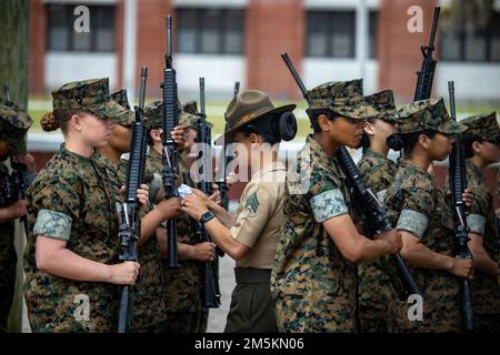 Recruits with Lima Company, 3rd Recruit Training Battalion, execute drill movements during Final Drill at Marine Corps Recruit Depot Parris Island, S.C., March 23, 2022. Final Drill tests drill instructors on their ability to give drill commands and tests recruits on their ability to execute the movements properly. Stock Photo