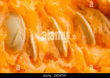 Squash or pumpkin, Muscade de Provence, Muscat de Provence pumpkin, cut with pulp and seeds Stock Photo