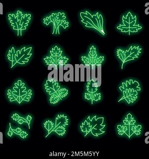 Parsley icons set. Outline set of parsley vector icons neon color on black Stock Vector